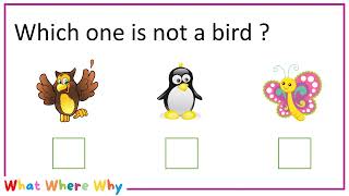 Kids IQ 1 || KG Kids IQ || Kids General Knowledge || Basic IQ for LKG UKG