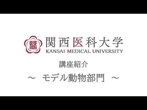 モデル動物部門｜関西医科大学 高校生向け講座/部門紹介ムービー