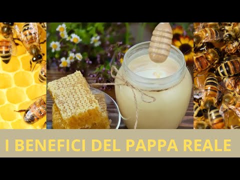 THE BENEFITS OF ROYAL JELLY.