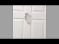 Elmo S Crashes Though A Door