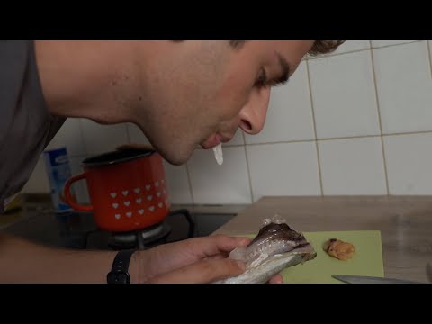 "RUPA JE RUPA" ~ Večera za 4 (Eugen)