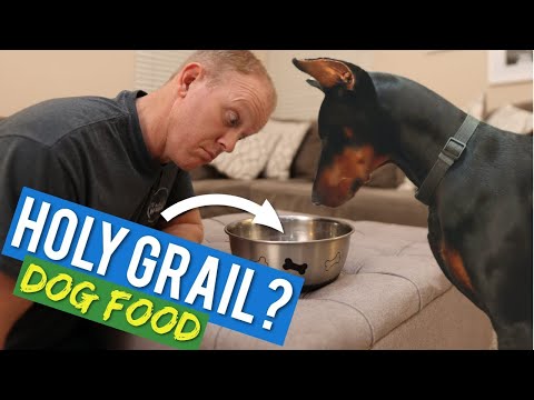 The Best Food I've EVER Fed My Doberman (Ollie Food) Video