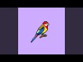 Eastern Rosellas (Stripped Back)