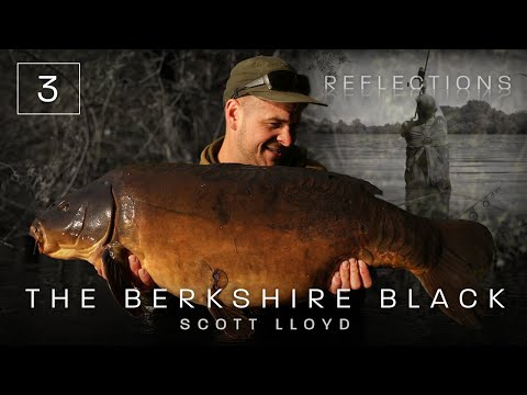 Chapter Three | The Berkshire Black | Reflections | Volume Three