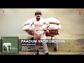 Paadum Vayirumdhan Cooliekkaaran High Quality Clear Audio Song