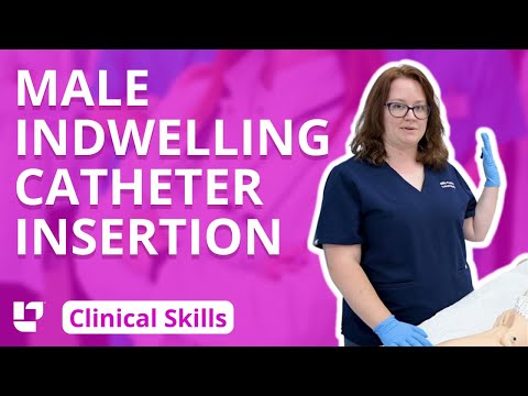 Indwelling Urinary Catheter Insertion on Male - Clinical Nursing Skills | @LevelUpRN