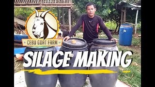 How do we make silage - Cebu Goat Farm