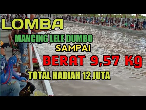 #lombamancing#mancinglele LOMBA mancing Lele Dumbo Sampai mencapai berat 9,57 KG satu Ekor.