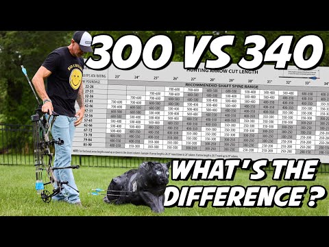 Do Spine Numbers Really MATTER? - The 300 vs. The 340 can you have both in your quiver?
