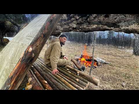 So schaffen Sie einen gemütlichen Unterschlupf: Erstaunliches Campen unter einem großen Baum im