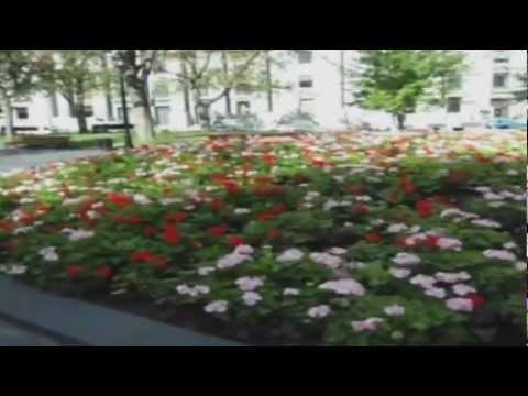 MAMIE CLAUDIA - TALA TALA