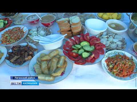 Вести «Калмыкия»: дневной выпуск 09.07.2018