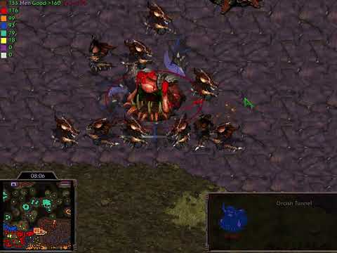 SOG IS BACK 2022 - Siege of Gondor rh - Gameplay - Starcraft Brood War Use Map Setting