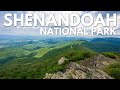 Shenandoah National Park Driving 105 Miles On Skyline Drive Waterfalls Hikes Overlooks