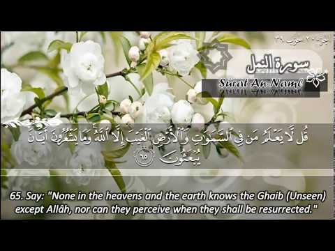 SURAH 027 NAML  :  RECITATION BY SHEIKH MAHER AL MUAIQLY WITH ENGLISH TRANSLATION