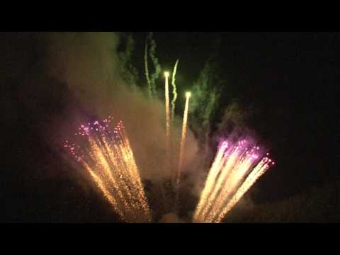 LDA652 10 X 10 FAN SHAPED BUTTERFLIES CAKE