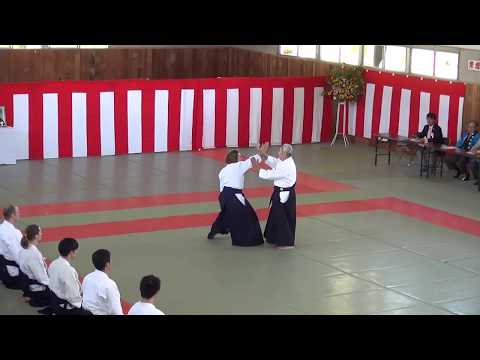 Aikido Saku Dojo Embukai 2016, Endo Seishiro Shihan