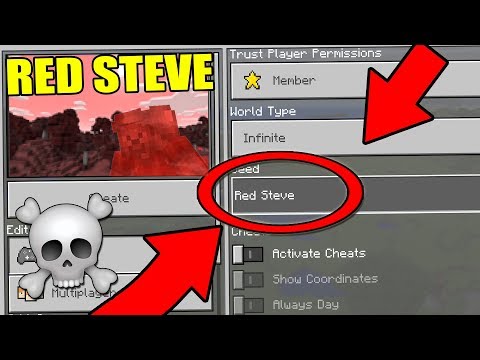 Erin Ketchum (ZombieSMT) - NEVER Play Minecraft The RED  STEVE WORLD! (Haunted "RED STEVE" Seed)