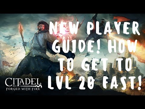 400K EXP AN HOUR?! - Citadel - Forged with Fire: New Player Guide -