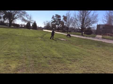 Karleen and Frisco 2 Delta Feb 27