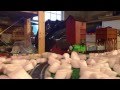 Thomas And Friends Come For The Ride