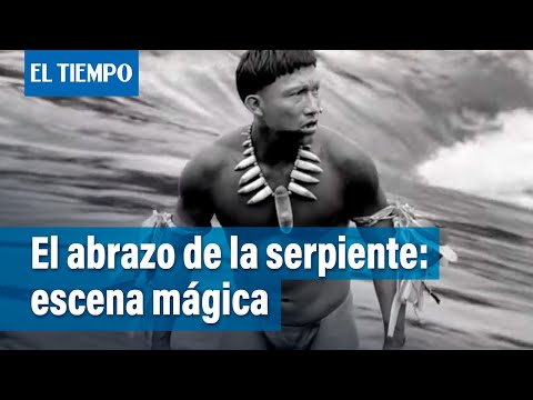 Exclusivo: Una escena mágica de 'El abrazo de la serpiente' | El Tiempo
