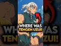 Why Tengen Didn T Fought During Infinity Castle Arc Demon Slayer Explained Demonslayer Shorts
