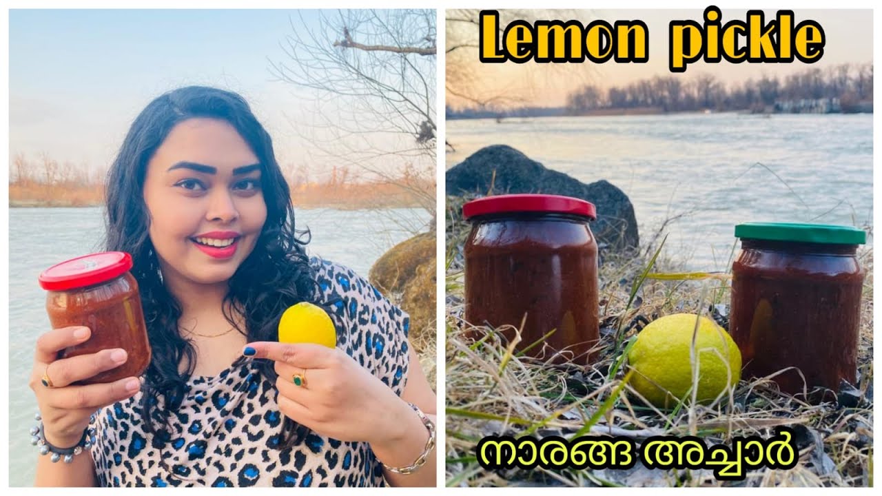 Instant Lemon Pickle by Dr.Navami’s vlogs /എളുപ്പത്തില്‍ ഒരു നാരങ്ങ അച്ചാര്‍/ Naranga Achar Recipe