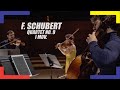 F. Schubert, Quartet No. 9 in G minor D 173 (ALINDE Quartett)
