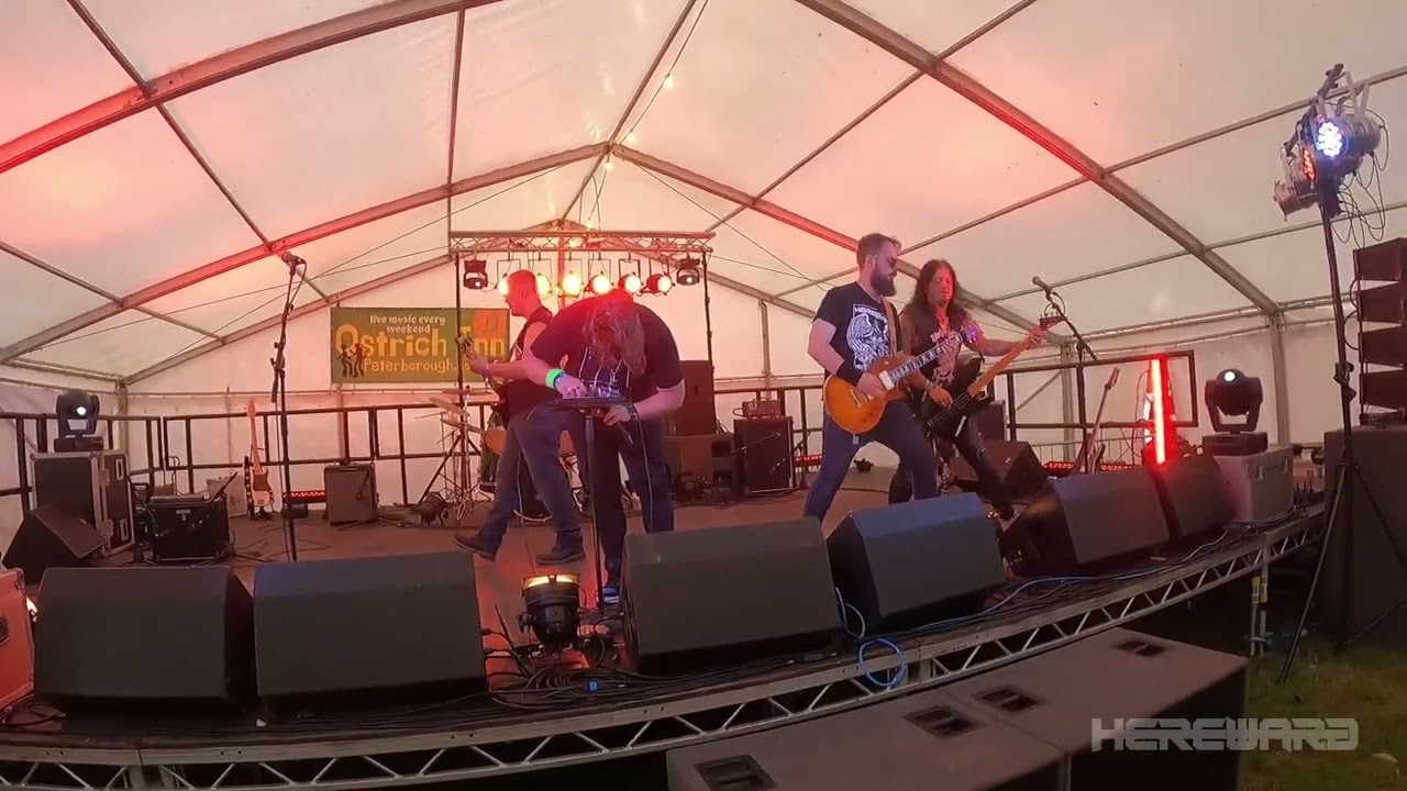 Insanity Live at Willow Fest