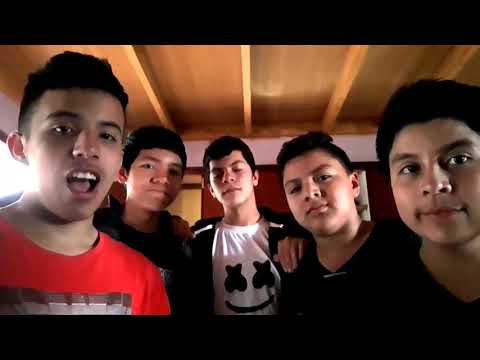 Tutorial como hacer un batido de multifrutas con leche