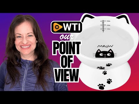 Yedio Porcelain Raised Cat Bowl - WTI product video review