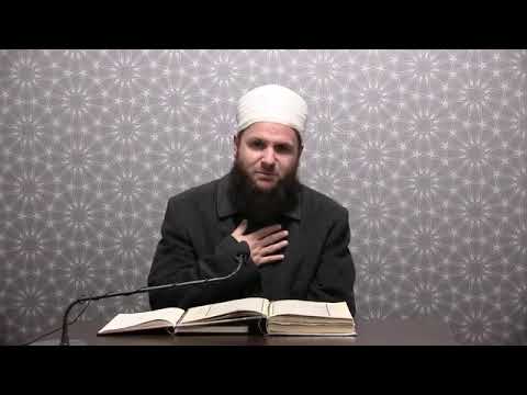 HİLM yumuşak huyluluk