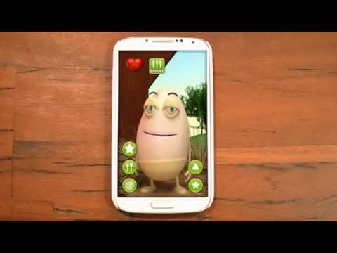 Talking Egg Video