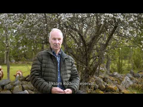 Vi är Tibro - Gillis Edman