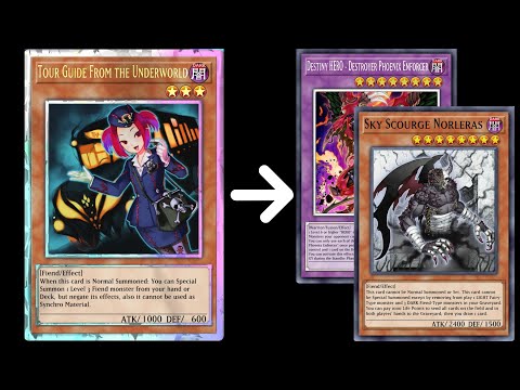 Tour Guide 1.5 Card Combo: Norleras (Board and Hand Wipe) + DPE