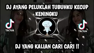 Download lagu DJ AYANG - PELUKLAH TUBUHKU KECUP KENINGKU || DJ TIKTOK TERBARU 2022 AYANG mp3