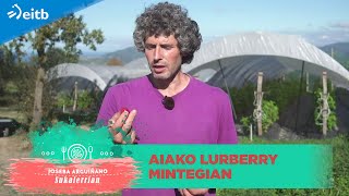 Lurberry mintegia - fruitu txikiko landare jangarriak