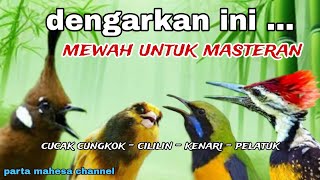 Download lagu KOMBINASI MASTERAN KASARAN MATERI LOMBA‼️CUCAK CUNGKOK | CILILIN | KENARI | PELATUK BAWANG mp3