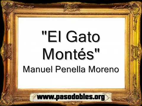 El Gato Montés - Manuel Penella Moreno [Pasodoble]
