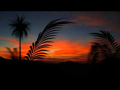 DJ Ambrosia January 2013 progressive chill house breaks trance Mix