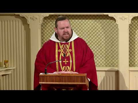 Readings and Homily - 2025-12-26 - Fr. Matthew