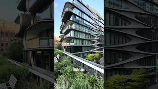 【New York】High Line,New York City, #shorts #ニューヨーク旅行