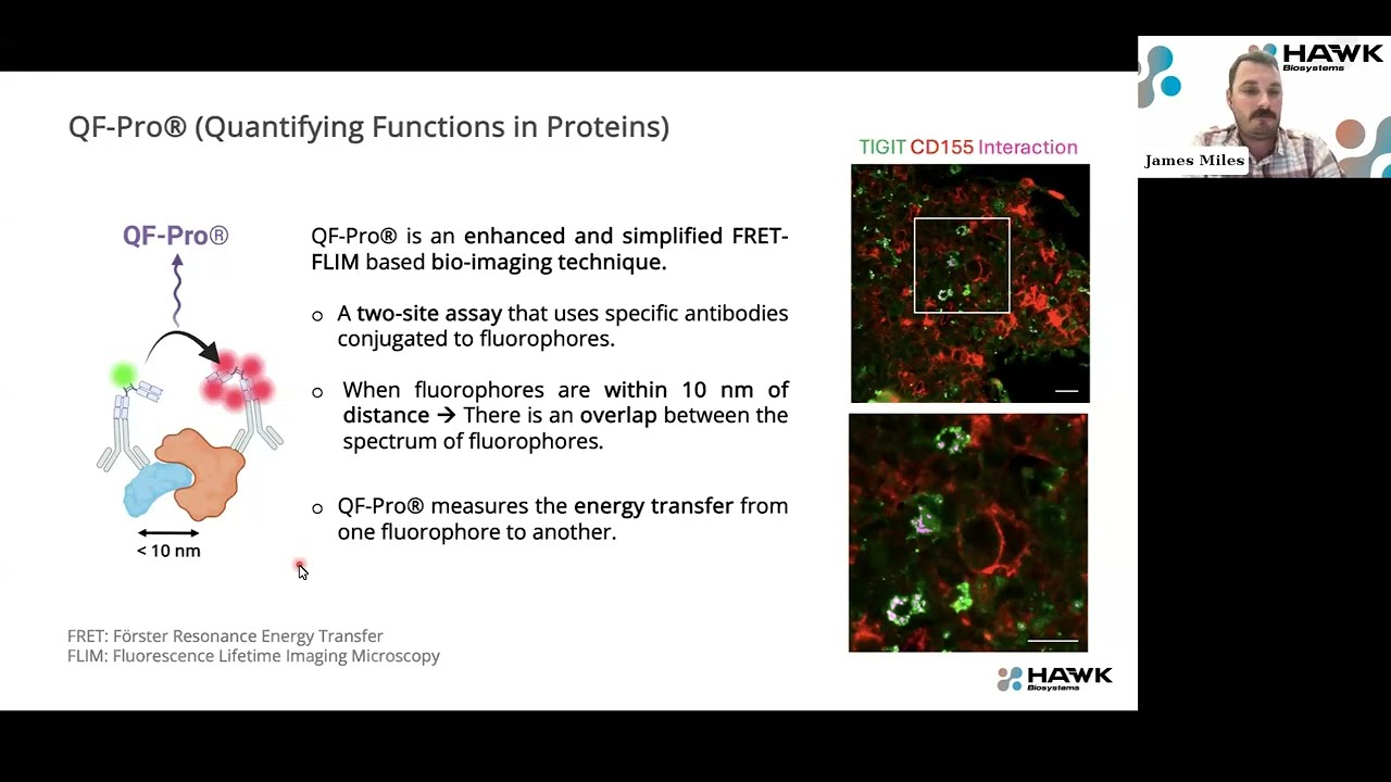 Quantifying Functions in Spatial Proteomics with QF-Pro