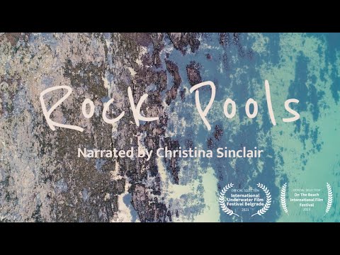 Rock Pools: Windows to the Sea