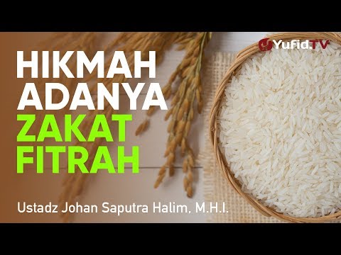 <p>Ceramah Singkat: Hikmah Adanya Zakat Fitrah - Ustadz Johan Saputra Halim, M.H.I.</p>
<p>Video ceramah singkat kali ini Ustadz Johan Saputra Halim Hafidzhahullah menjelasakan tetang hikmah adanya zakat fitrah. Yuk simak penjelasan selengkapnya dalam video berikut.</p>
<p>#zakat #hikmahzakat #zakatfitrah<br />
*<br />
MASIH CARI ARTIKEL ISLAM DI GOOGLE?<br />
Yuk, cari di Yufid.com (Islamic Search Engine) saja. Insyaallah LEBIH menenangkan hati!<br />
*<br />
►► SUBSCRIBE di sini untuk belajar LEBIH tentang Islam: youtube.com/subscription_center?add_user=moslemchannel<br />
*<br />
YUK, FOLLOW SOSIAL MEDIA YUFID.TV LAINNYA UNTUK MENDAPATKAN UPDATE VIDEO TERBARU!<br />
Fabebook: facebook.com/Yufid.TV/<br />
Instagram: instagram.com/yufid.tv/<br />
Telegram: telegram.me/yufidtv<br />
Yufid.TV Official Website: yufid.tv<br />
*<br />
YUK, DUKUNG YUFID.TV!<br />
Yuk, dukung dengan belanja di Yufid Store: yufidstore.com<br />
*<br />
DONASI UNTUK VIDEO DAKWAH DAPAT DISALURKAN KE:</p>
<p>BNI SYARIAH<br />
0381.346.658<br />
a.n. YUFID NETWORK YAYASAN</p>
<p>BANK SYARIAH MANDIRI<br />
7086.882.242<br />
a.n. YAYASAN YUFID NETWORK</p>
<p>Paypal: finance@yufid.org</p>
<p>NB:<br />
Rekening di atas adalah rekening khusus donasi Yufid Network, jadi Anda tidak perlu konfirmasi setelah mengirimkan donasi. Cukup tuliskan keterangan donasi pada saat Anda transfer.</p>
<p>Link catatan penerimaan donasi Yufid Network selama ini dapat Anda lihat di: goo.gl/y7o7Se</p>
<p>Ceramah Singkat: Hikmah Adanya Zakat Fitrah - Ustadz Johan Saputra Halim, M.H.I.</p>
<p>Video ceramah singkat kali ini Ustadz Johan Saputra Halim Hafidzhahullah menjelasakan tetang hikmah adanya zakat fitrah. Yuk simak penjelasan selengkapnya dalam video berikut.</p>
<p>#zakat #hikmahzakat #zakatfitrah<br />
*<br />
MASIH CARI ARTIKEL ISLAM DI GOOGLE?<br />
Yuk, cari di Yufid.com (Islamic Search Engine) saja. Insyaallah LEBIH menenangkan hati!<br />
*<br />
►► SUBSCRIBE di sini untuk belajar LEBIH tentang Islam: youtube.com/subscription_center?add_user=moslemchannel<br />
*<br />
YUK, FOLLOW SOSIAL MEDIA YUFID.TV LAINNYA UNTUK MENDAPATKAN UPDATE VIDEO TERBARU!<br />
Fabebook: facebook.com/Yufid.TV/<br />
Instagram: instagram.com/yufid.tv/<br />
Telegram: telegram.me/yufidtv<br />
Yufid.TV Official Website: yufid.tv<br />
*<br />
YUK, DUKUNG YUFID.TV!<br />
Yuk, dukung dengan belanja di Yufid Store: yufidstore.com<br />
*<br />
DONASI UNTUK VIDEO DAKWAH DAPAT DISALURKAN KE:</p>
<p>BNI SYARIAH<br />
0381.346.658<br />
a.n. YUFID NETWORK YAYASAN</p>
<p>BANK SYARIAH MANDIRI<br />
7086.882.242<br />
a.n. YAYASAN YUFID NETWORK</p>
<p>Paypal: finance@yufid.org</p>
<p>NB:<br />
Rekening di atas adalah rekening khusus donasi Yufid Network, jadi Anda tidak perlu konfirmasi setelah mengirimkan donasi. Cukup tuliskan keterangan donasi pada saat Anda transfer.</p>
<p>Link catatan penerimaan donasi Yufid Network selama ini dapat Anda lihat di: goo.gl/y7o7Se</p>