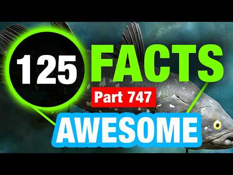 125 Mind Blowing Weird Facts | Amazing Mind Blowing Facts