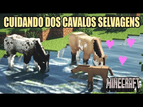 , title : 'CUIDANDO DOS CAVALOS SELVAGENS! -minecraft roleplay - parte  29'