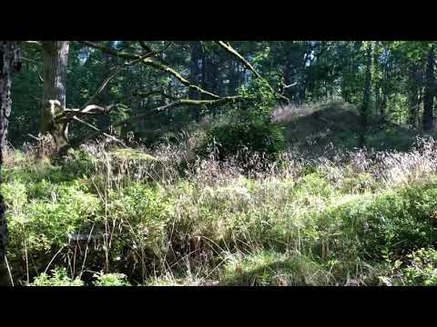 100 +YEAR OLD SILVER COIN