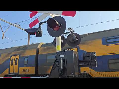 Spoorwegovergang hilegom / dutch Railroad Crossing 